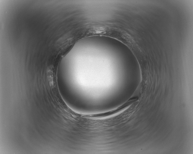 X0000066001442200603061311