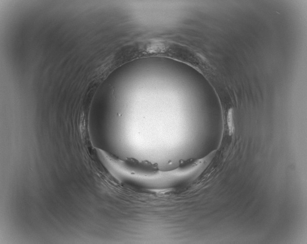 X0000066001443200603061311