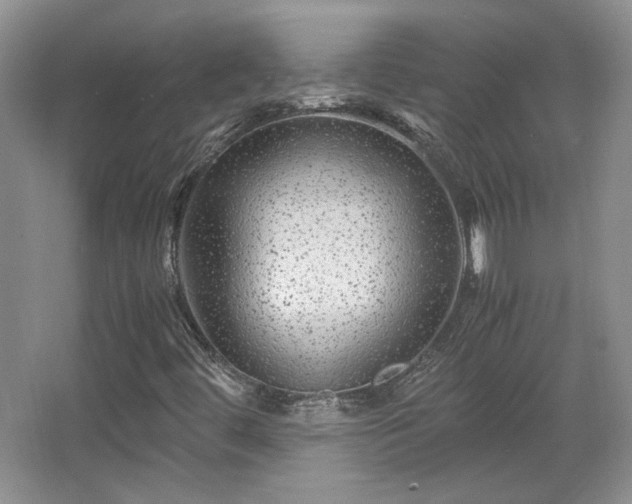 X0000066001444200603061311