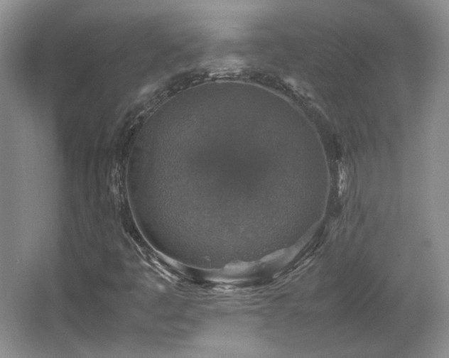 X0000066001445200603061311