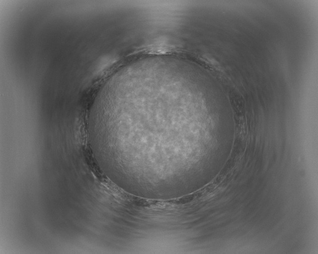 X0000066001446200603061311