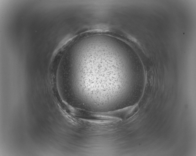 X0000066001448200603061311