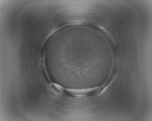 X0000066001449200603061311