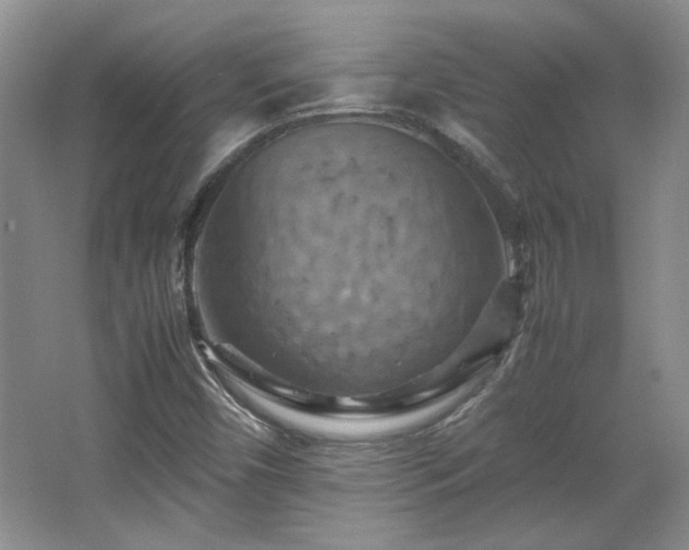 X0000066001450200603061311