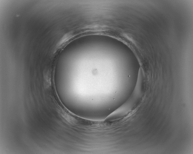 X0000066001451200603061311