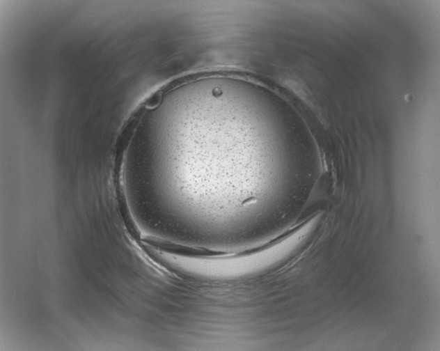 X0000066001452200603061311