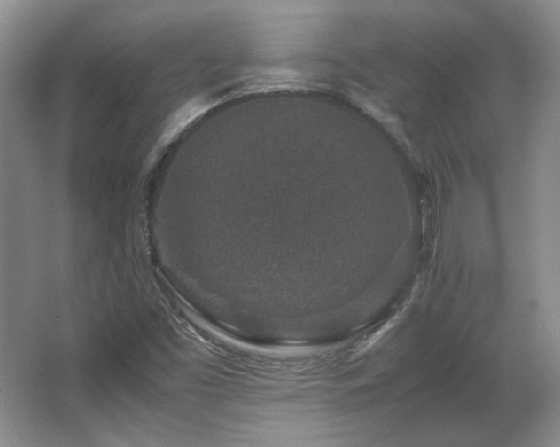 X0000066001453200603061311