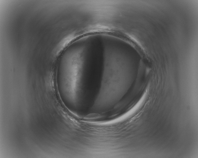 X0000066001455200603061311