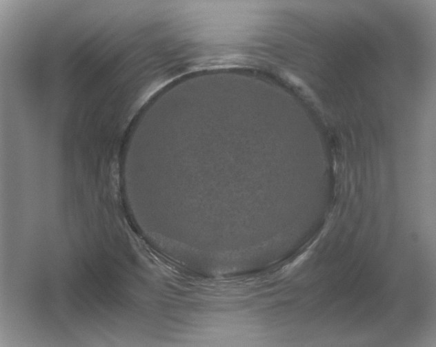 X0000066001457200603061311