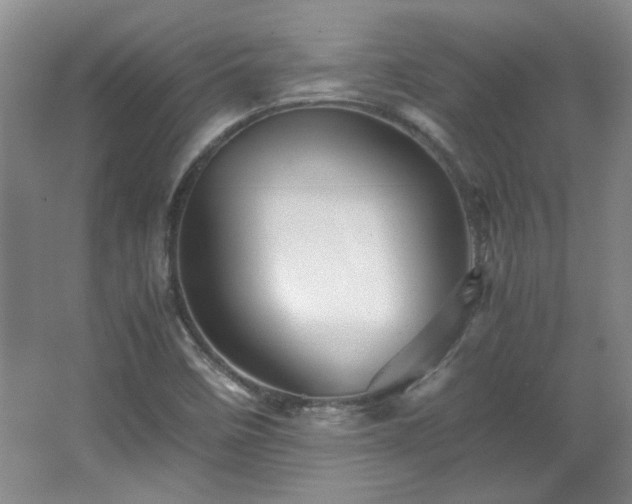 X0000066001458200603061311