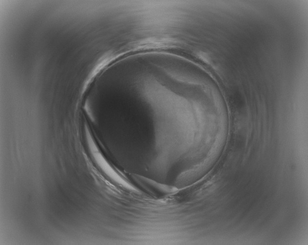 X0000066001459200603061311