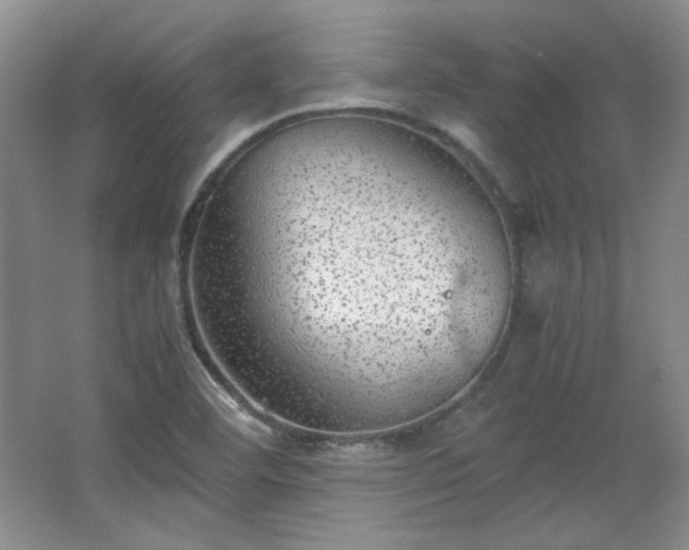 X0000066001460200603061311