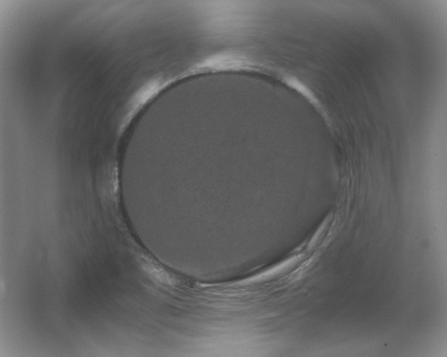 X0000066001461200603061311