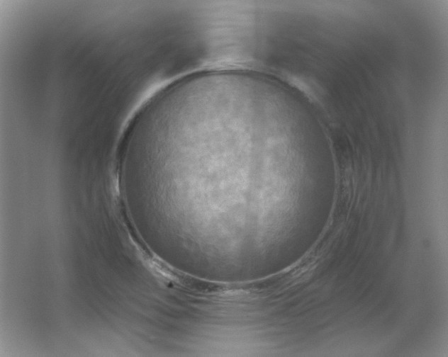 X0000066001462200603061311