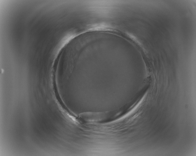 X0000066001463200603061311