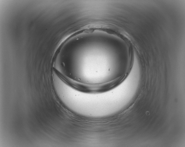 X0000066001465200603061311