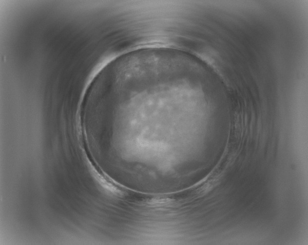 X0000066001466200603061311