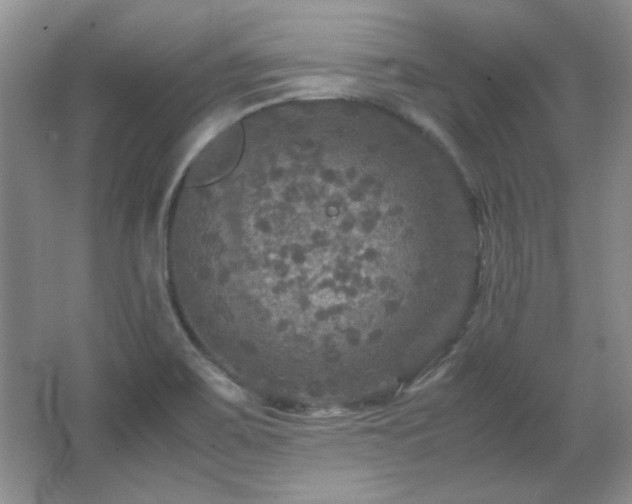 X0000066001467200603061311