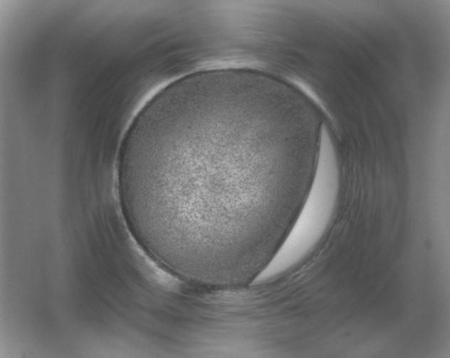 X0000066001468200603061311