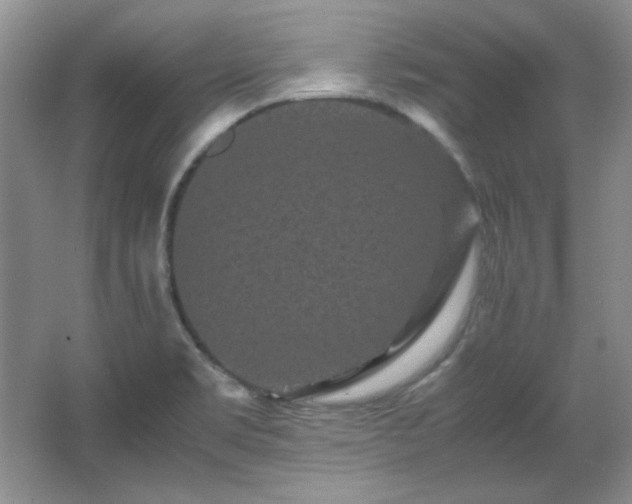 X0000066001469200603061311