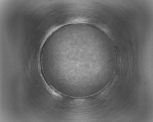 X0000066001470200603061311