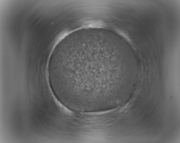 X0000066001471200603061311