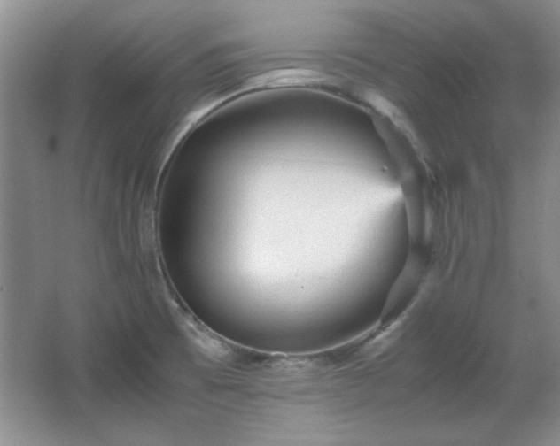 X0000066001473200603061310