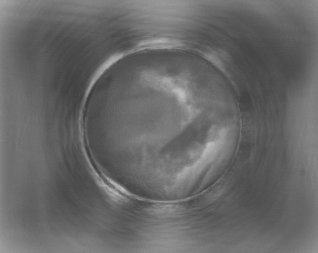 X0000066001474200603061310