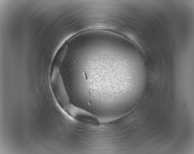 X0000066001476200603061310