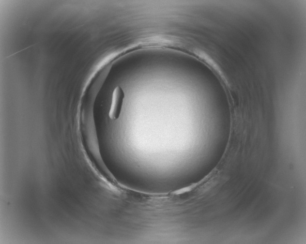 X0000066001477200603061310