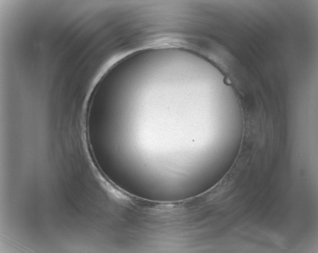 X0000066001478200603061310