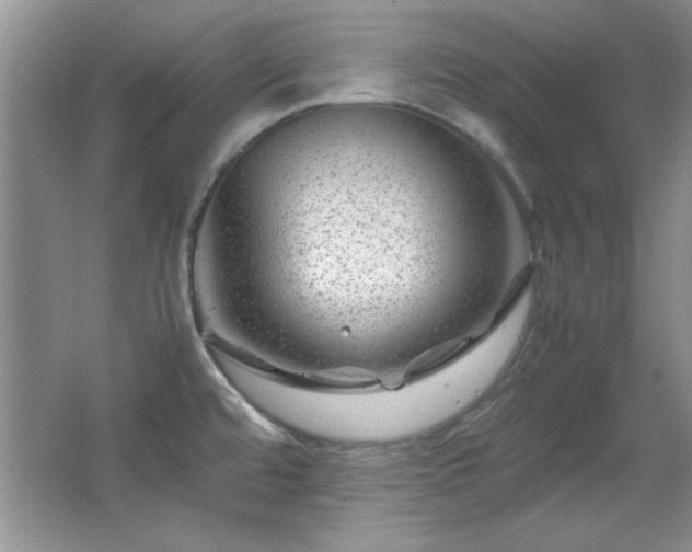 X0000066001480200603061310