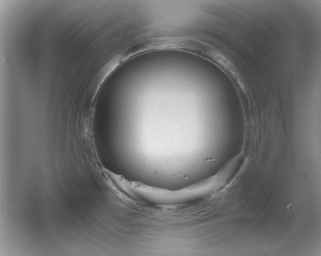 X0000066001481200603061310