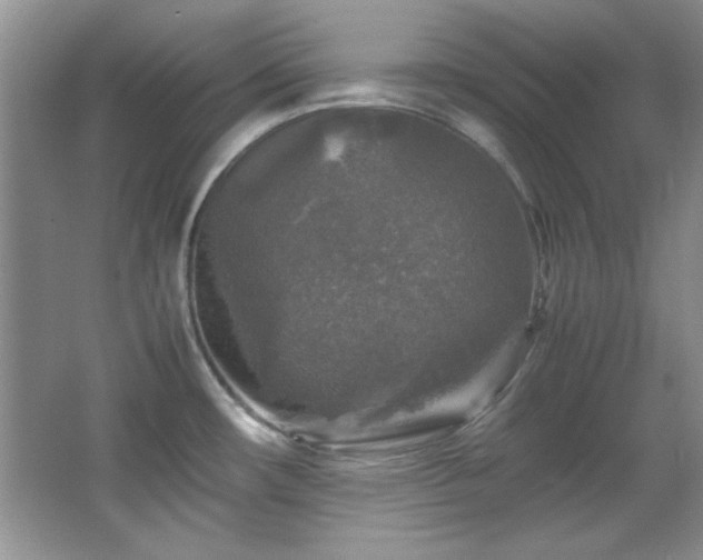 X0000066001482200603061310