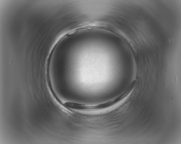 X0000066001483200603061310