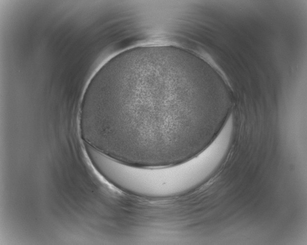 X0000066001484200603061310