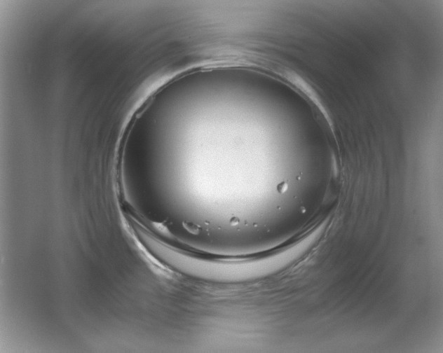 X0000066001485200603061310