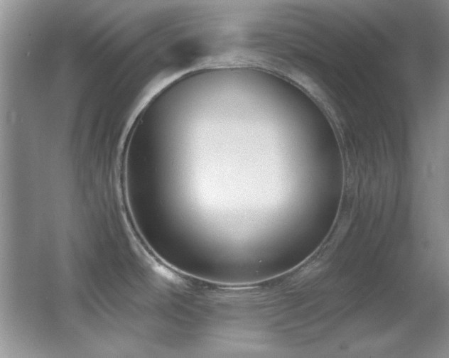 X0000066001486200603061310