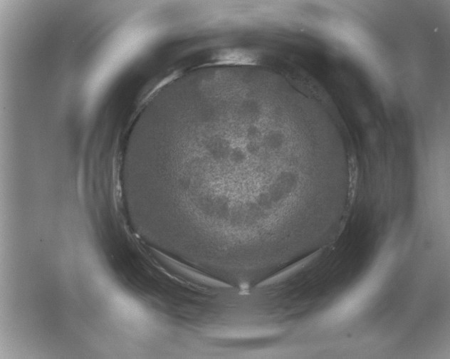 X0000066001487200603061310