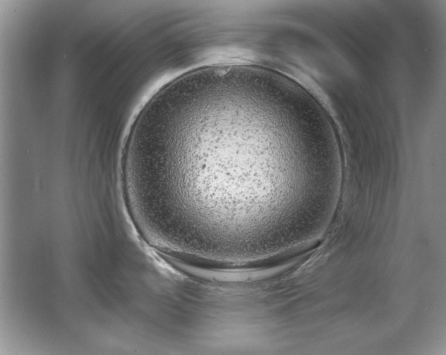 X0000066001488200603061310