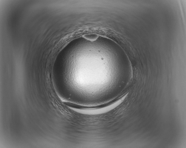 X0000066001489200603061309