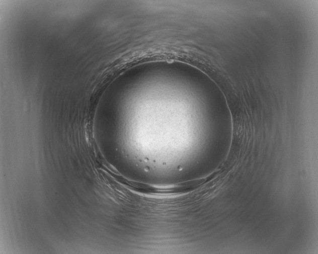 X0000066001490200603061309