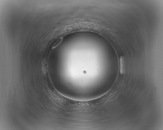 X0000066001491200603061309