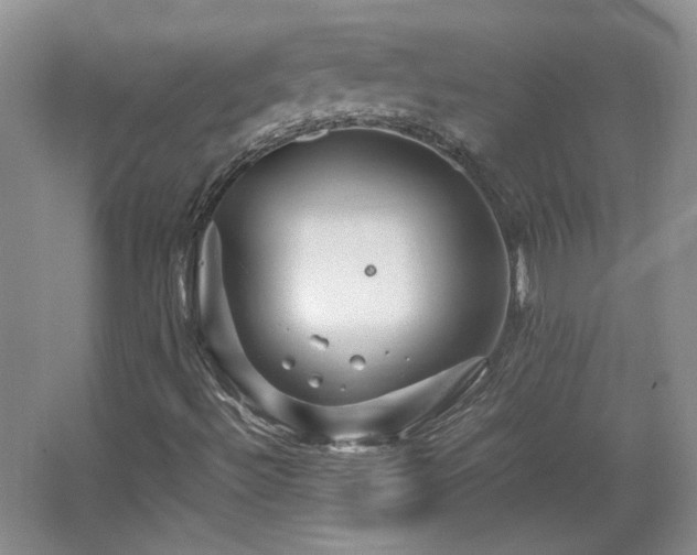 X0000066001492200603061309