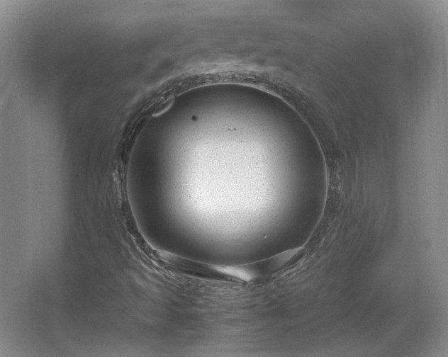 X0000066001493200603061309