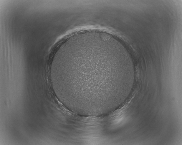 X0000066001494200603061309