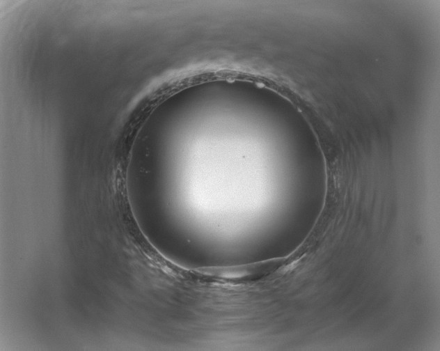 X0000066001495200603061310