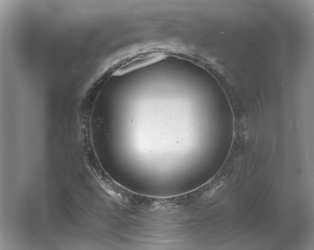 X0000066001496200603061310