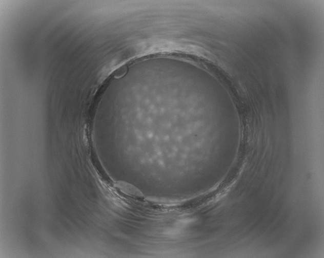 X0000066001497200603061310