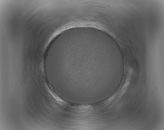 X0000066001498200603061310